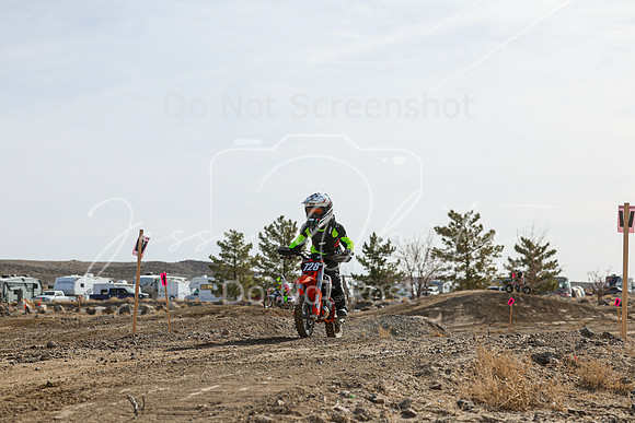 IMG_6729-728z