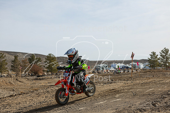 IMG_6731-728z