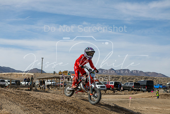 IMG_6828-808z