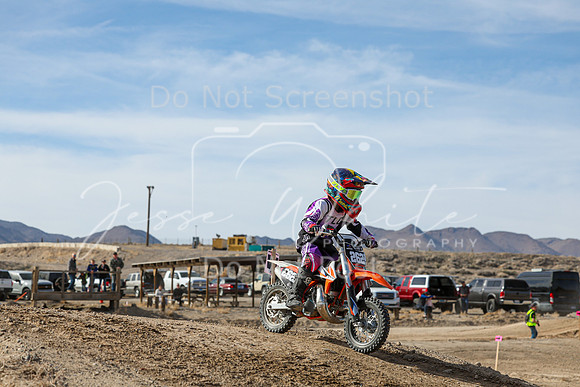 IMG_6842-262z