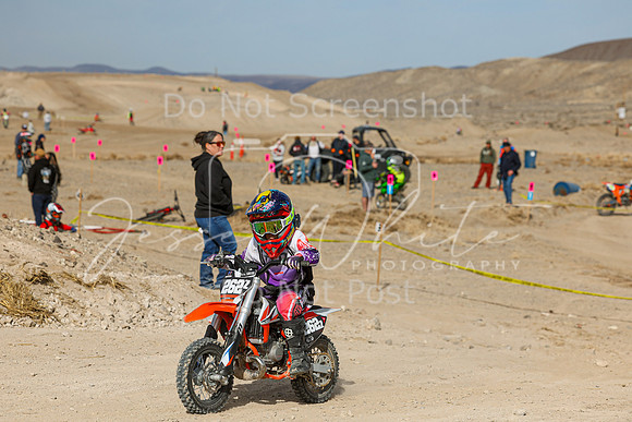 IMG_6888-262z