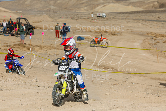 IMG_6901-101z