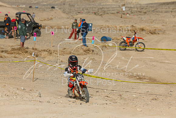 IMG_6918-501z