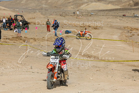 IMG_6910-77z
