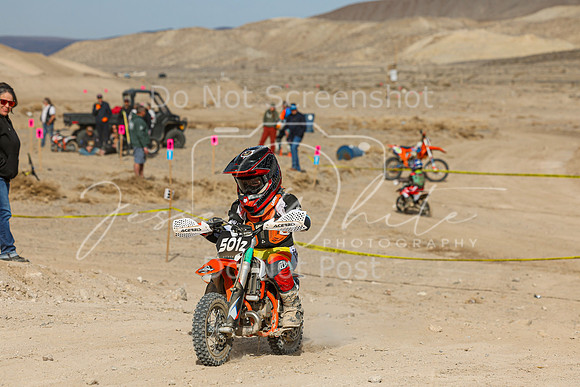 IMG_6921-501z