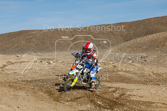 IMG_6781-101z