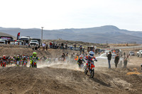 IMG_6959-717e