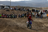 IMG_6980-81z