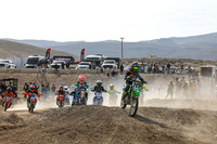 IMG_6989-715y