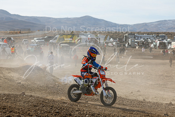 IMG_7003-450y
