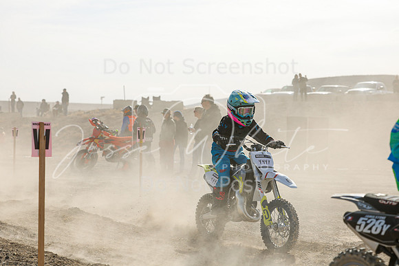 IMG_7069-444y
