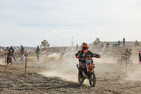 IMG_7096-505y