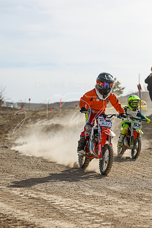 IMG_7115-303y