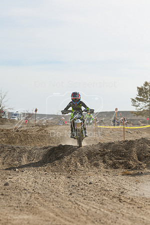 IMG_7172-555y