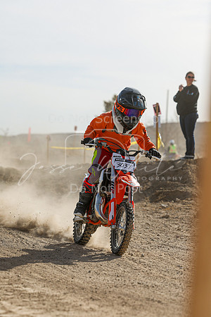 IMG_7203-303y