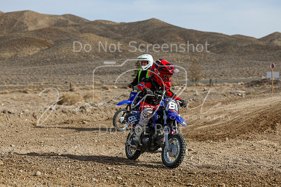 IMG_7303-81z