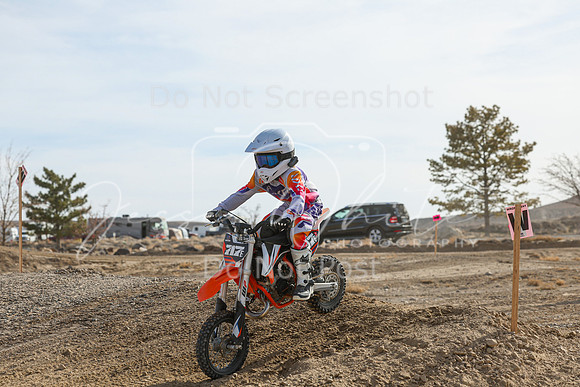 IMG_7321-717e