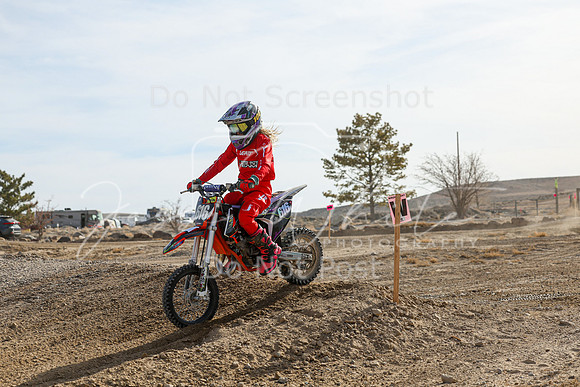 IMG_7334-616y