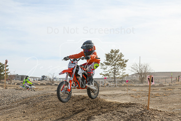 IMG_7346-303y