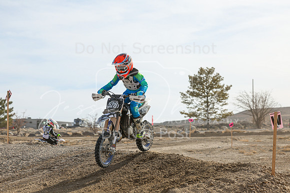 IMG_7349-528y