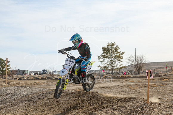 IMG_7360-444y