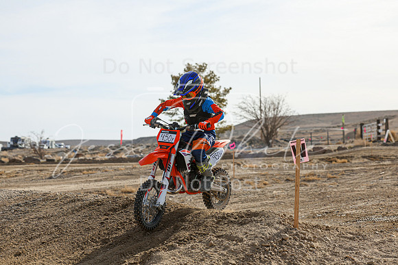 IMG_7365-450y