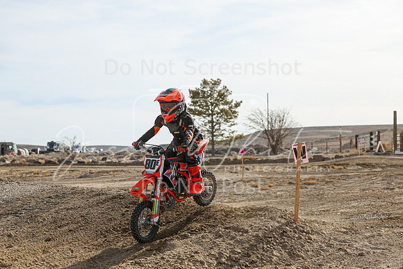 IMG_7363-80e
