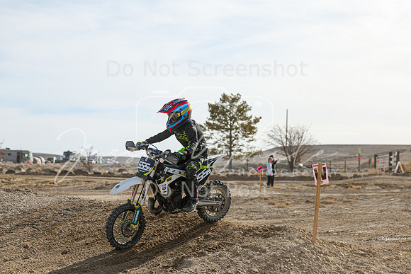 IMG_7390-555y