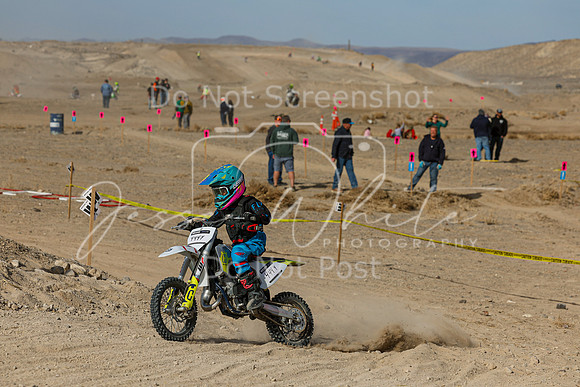IMG_7402-444y