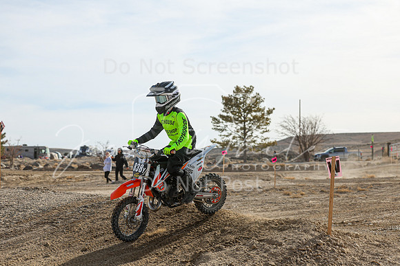 IMG_7398-838y