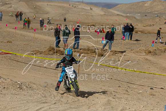 IMG_7401-444y