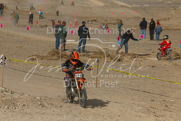 IMG_7411-505y