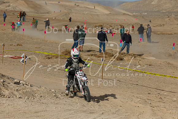 IMG_7406-121y