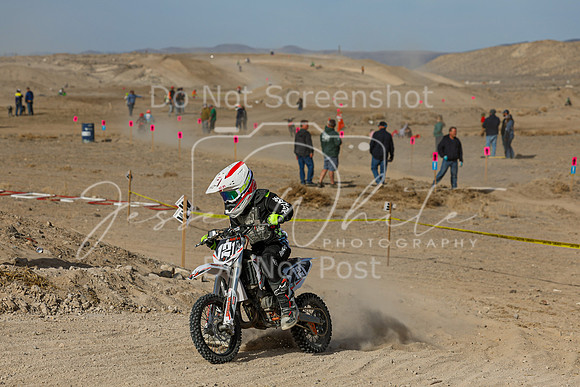 IMG_7409-121y