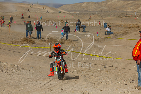 IMG_7415-80e