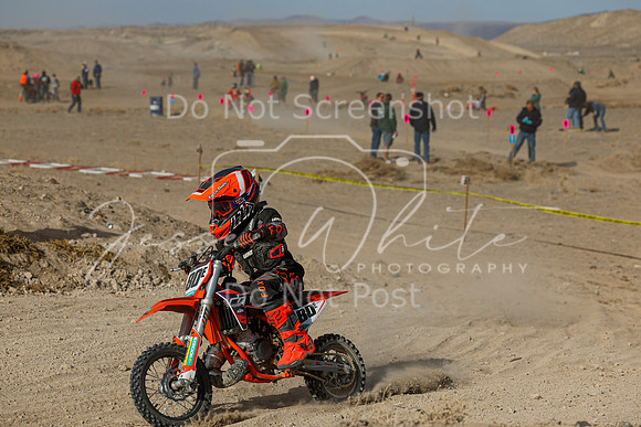 IMG_7417-80e
