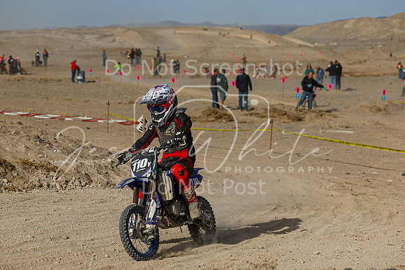IMG_7422-110y