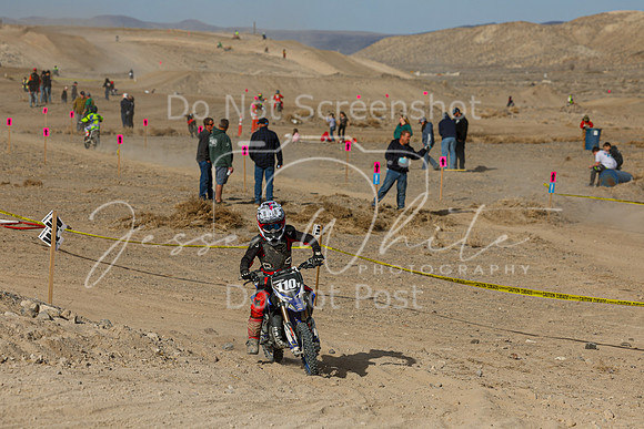 IMG_7420-110y