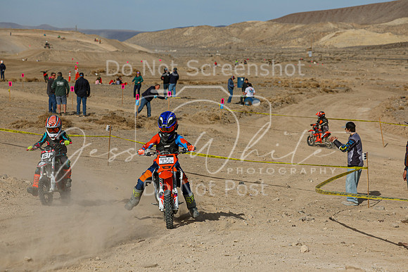 IMG_7428-450y