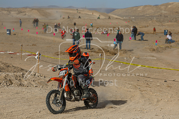 IMG_7414-505y