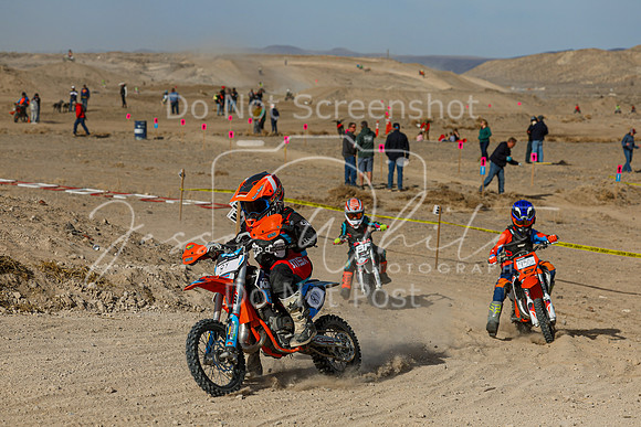 IMG_7426-8y