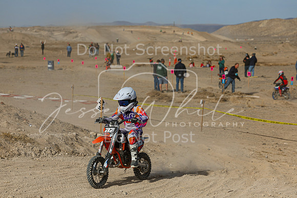 IMG_7435-717e