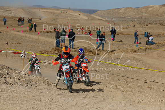 IMG_7424-8y
