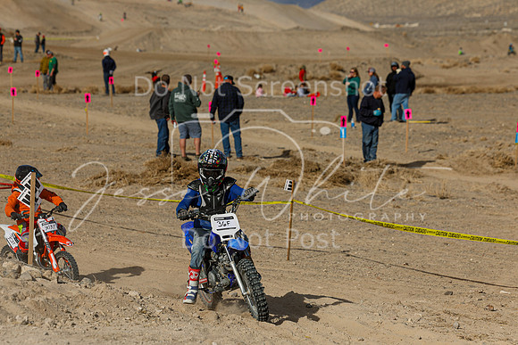 IMG_7441-36f