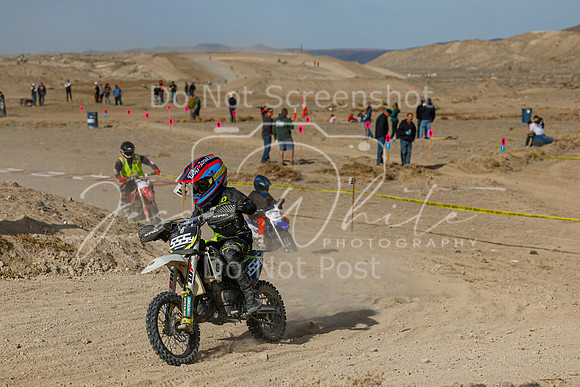 IMG_7454-555y