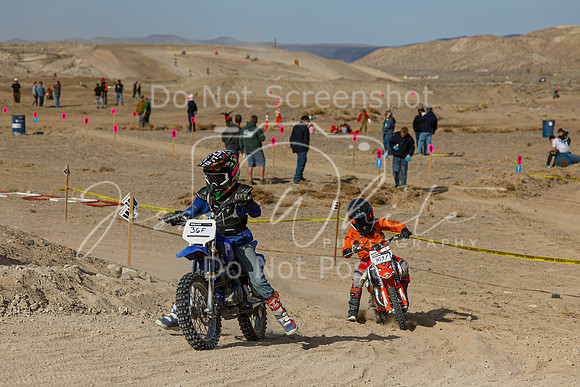 IMG_7444-36f