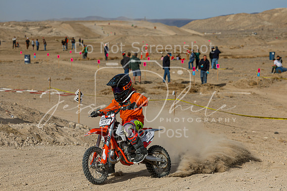 IMG_7447-303y