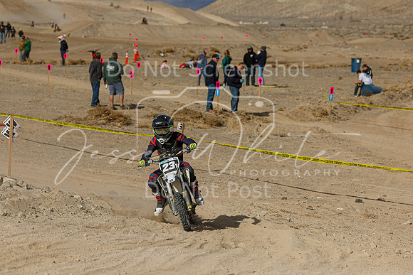 IMG_7460-23y