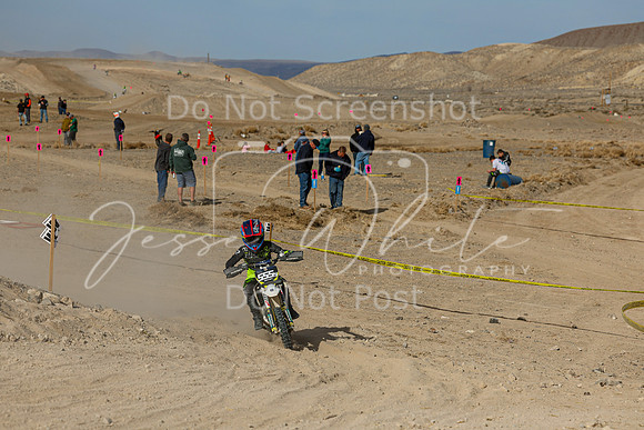 IMG_7450-555y