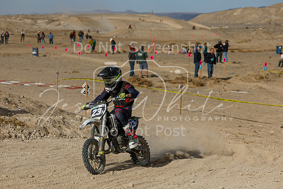 IMG_7462-23y